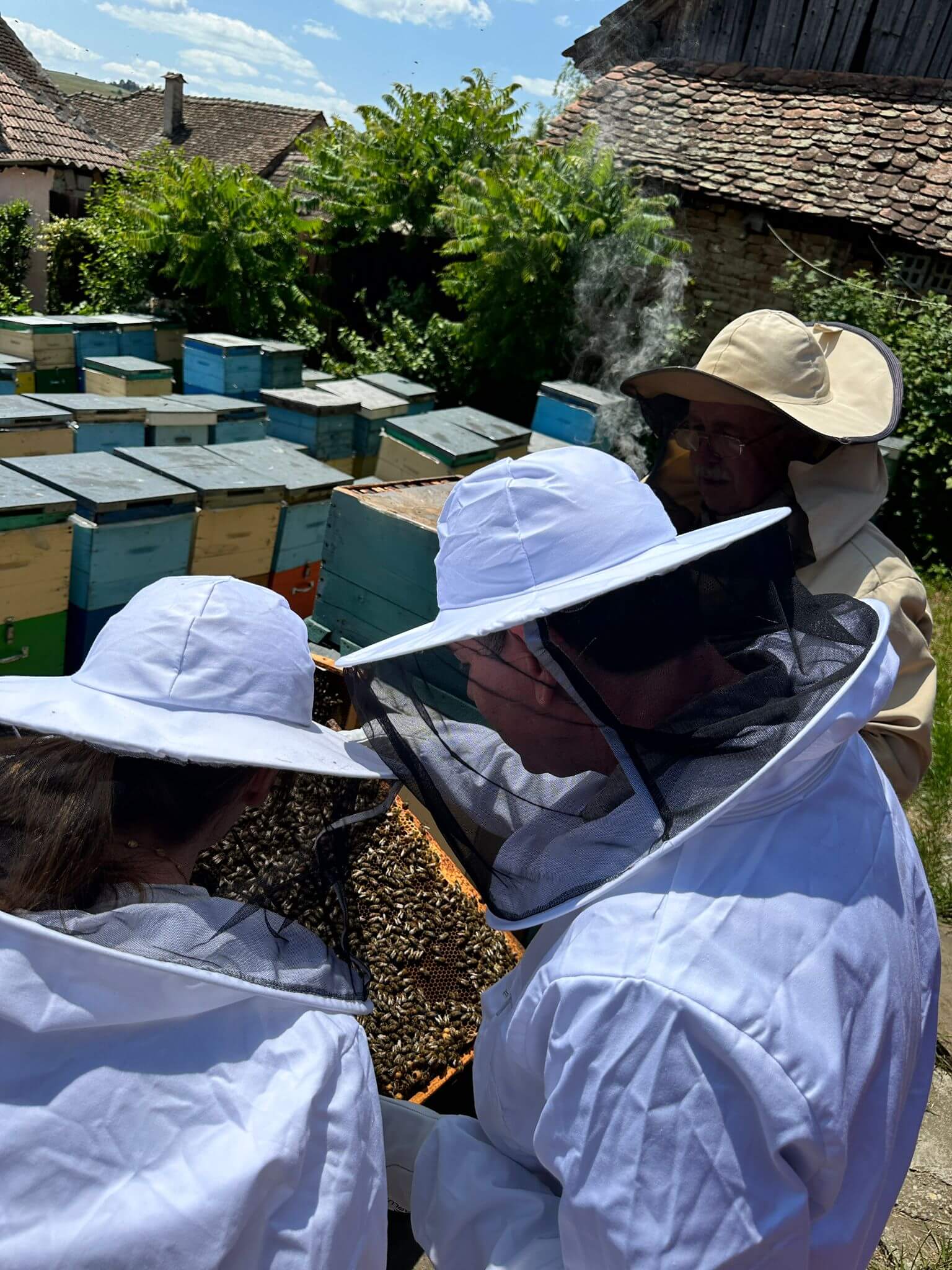 Beekeeping rural experience in Transylvania icon